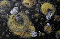 /album/malba-2015-2018/img-20251221-130721-jpg/