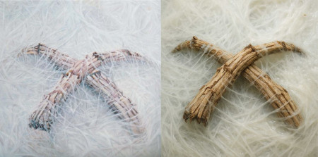 Symbol (2002) + AI korektura 2025